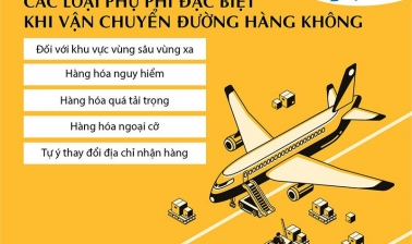 Các Loại phí liên quan đến lô hàng 
